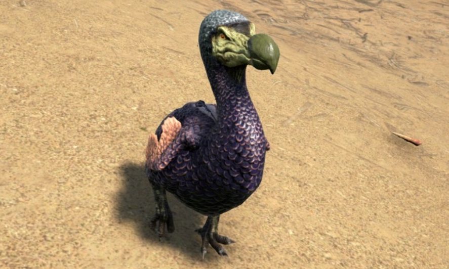 Dodo from ARK: Survival Evolved Mobile